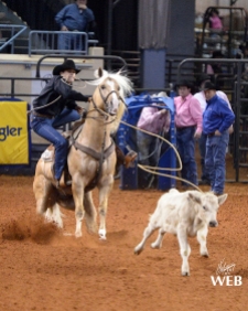 Quails Yellow Berry in the Finals of the 2015 AQHA World Show